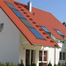 Unbetiteltes Referenzbild