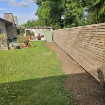 Unbetiteltes Referenzbild