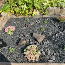 Unbetiteltes Referenzbild