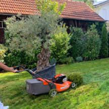 Unbetiteltes Referenzbild