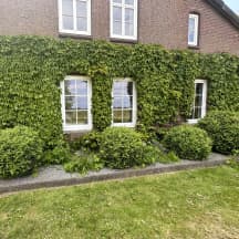 Unbetiteltes Referenzbild