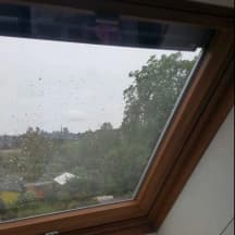 Unbetiteltes Referenzbild