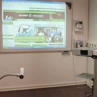 Unbetiteltes Referenzbild