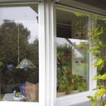 Unbetiteltes Referenzbild