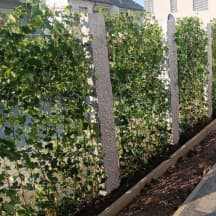 Unbetiteltes Referenzbild