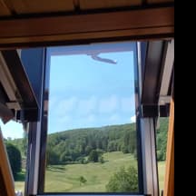 Unbetiteltes Referenzbild