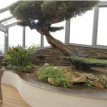 Unbetiteltes Referenzbild