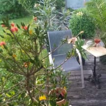 Unbetiteltes Referenzbild