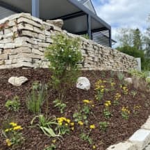 Unbetiteltes Referenzbild