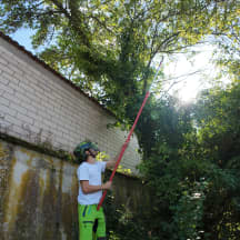 Unbetiteltes Referenzbild