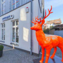 Unbetiteltes Referenzbild