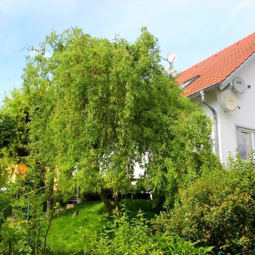 Unbetiteltes Referenzbild