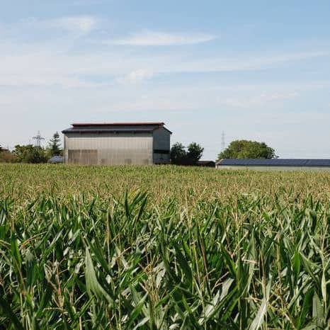 Unbetiteltes Referenzbild