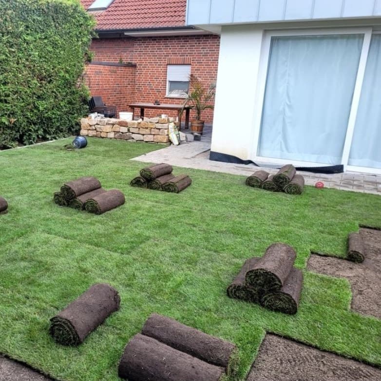 Unbetiteltes Referenzbild