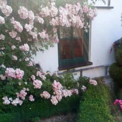 Unbetiteltes Referenzbild