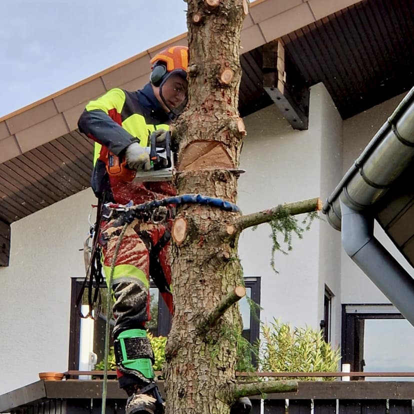 Unbetiteltes Referenzbild