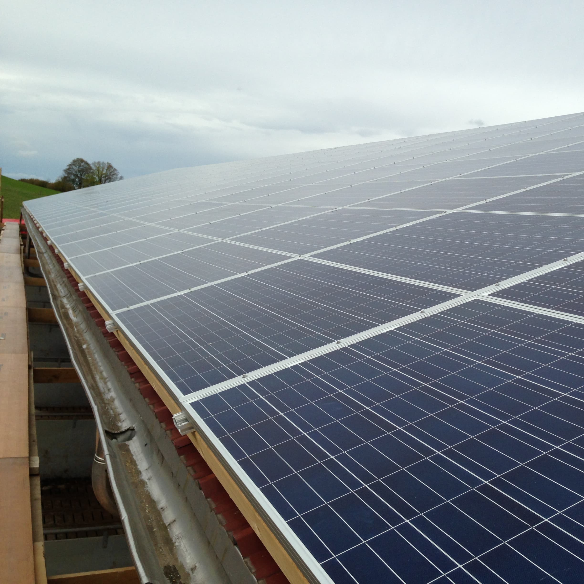 Unbetiteltes Referenzbild