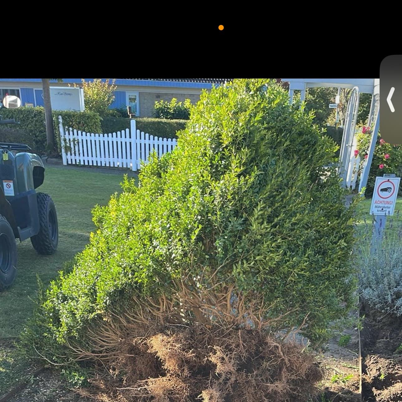 Unbetiteltes Referenzbild