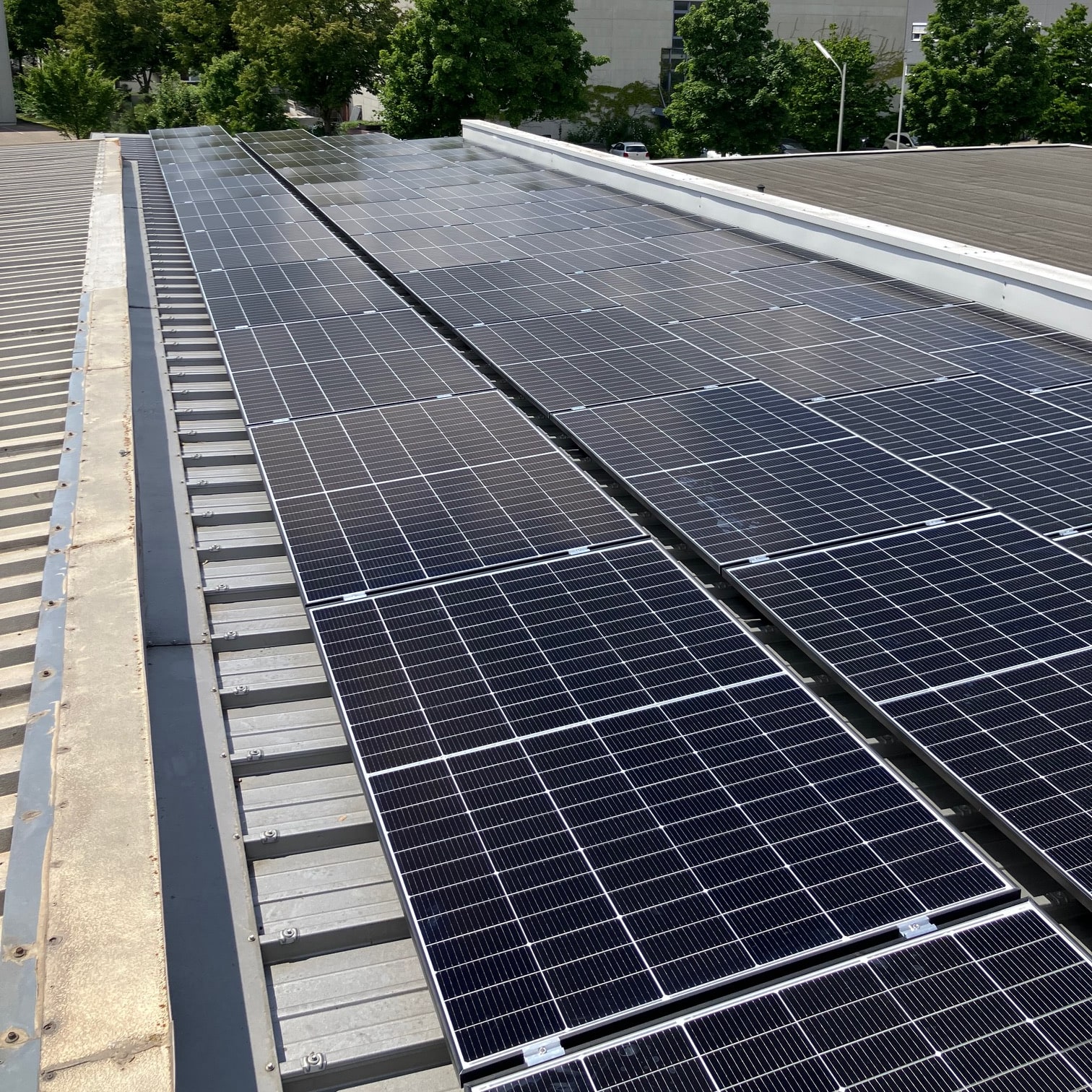 Unbetiteltes Referenzbild