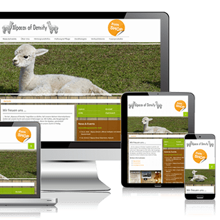 Unbetiteltes Referenzbild