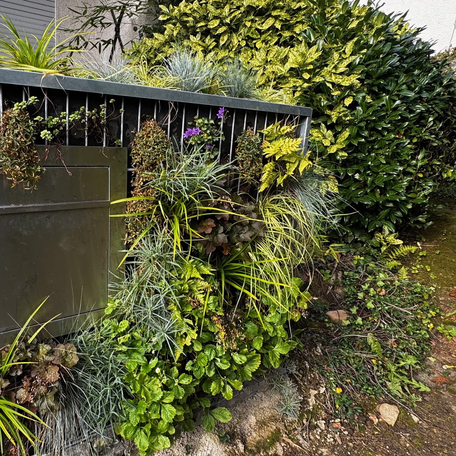 Unbetiteltes Referenzbild