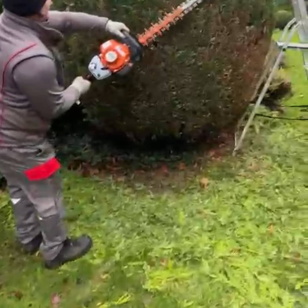 Unbetiteltes Referenzbild