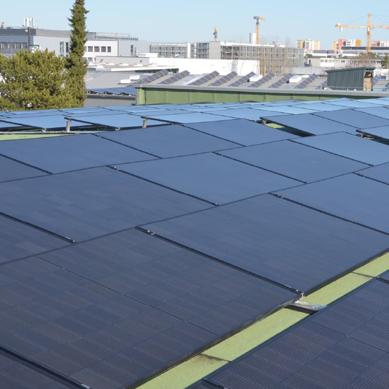 Unbetiteltes Referenzbild