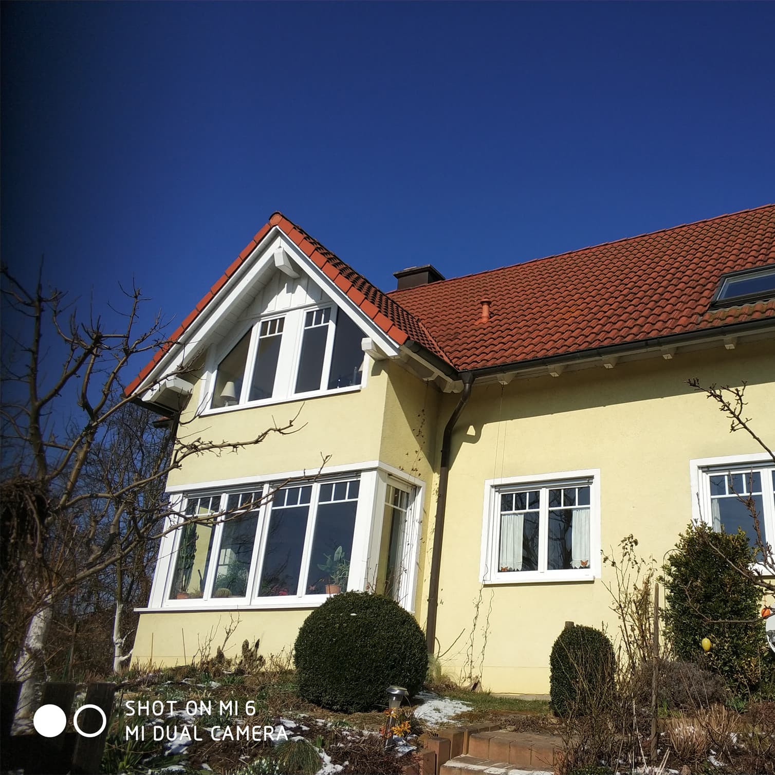 Unbetiteltes Referenzbild