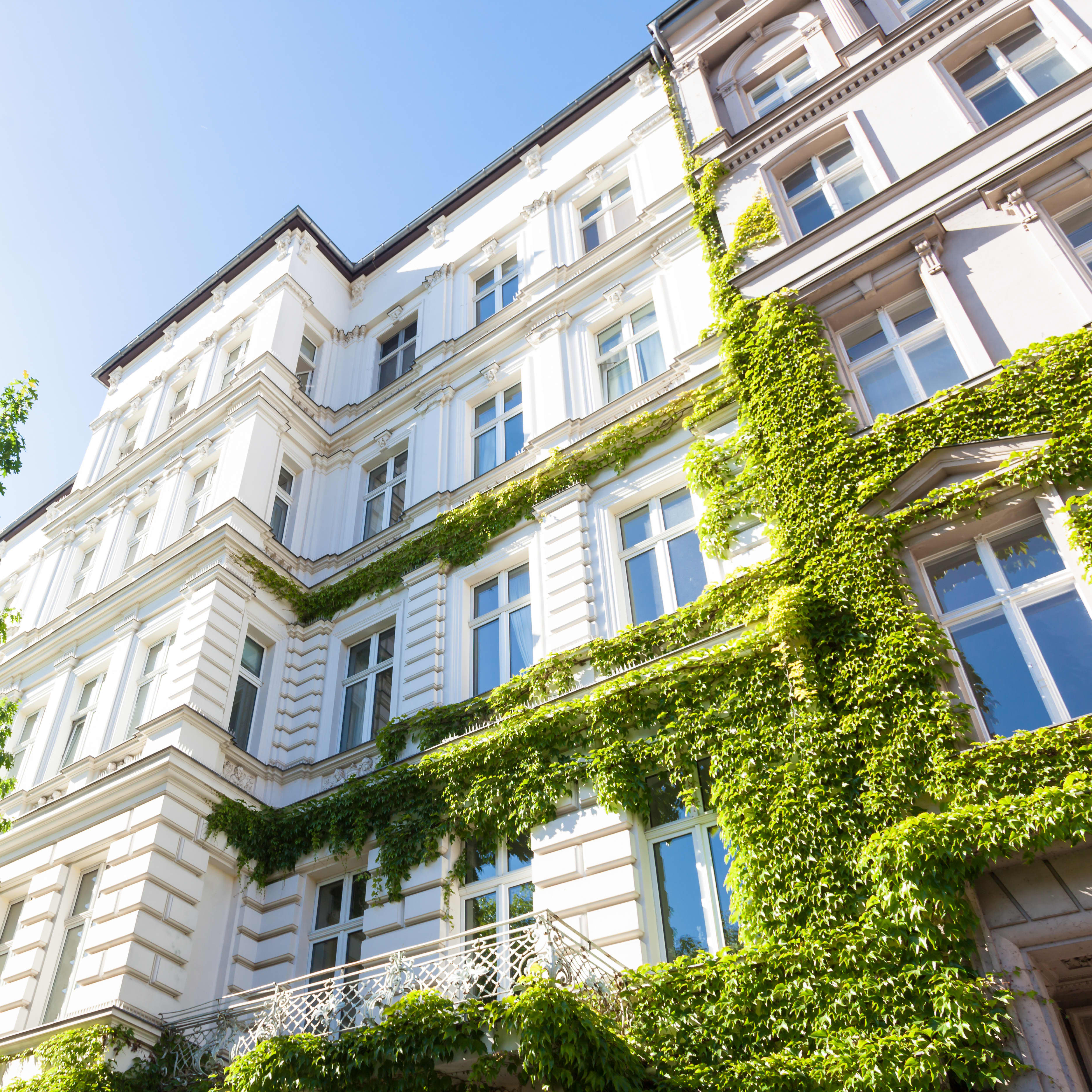 Unbetiteltes Referenzbild