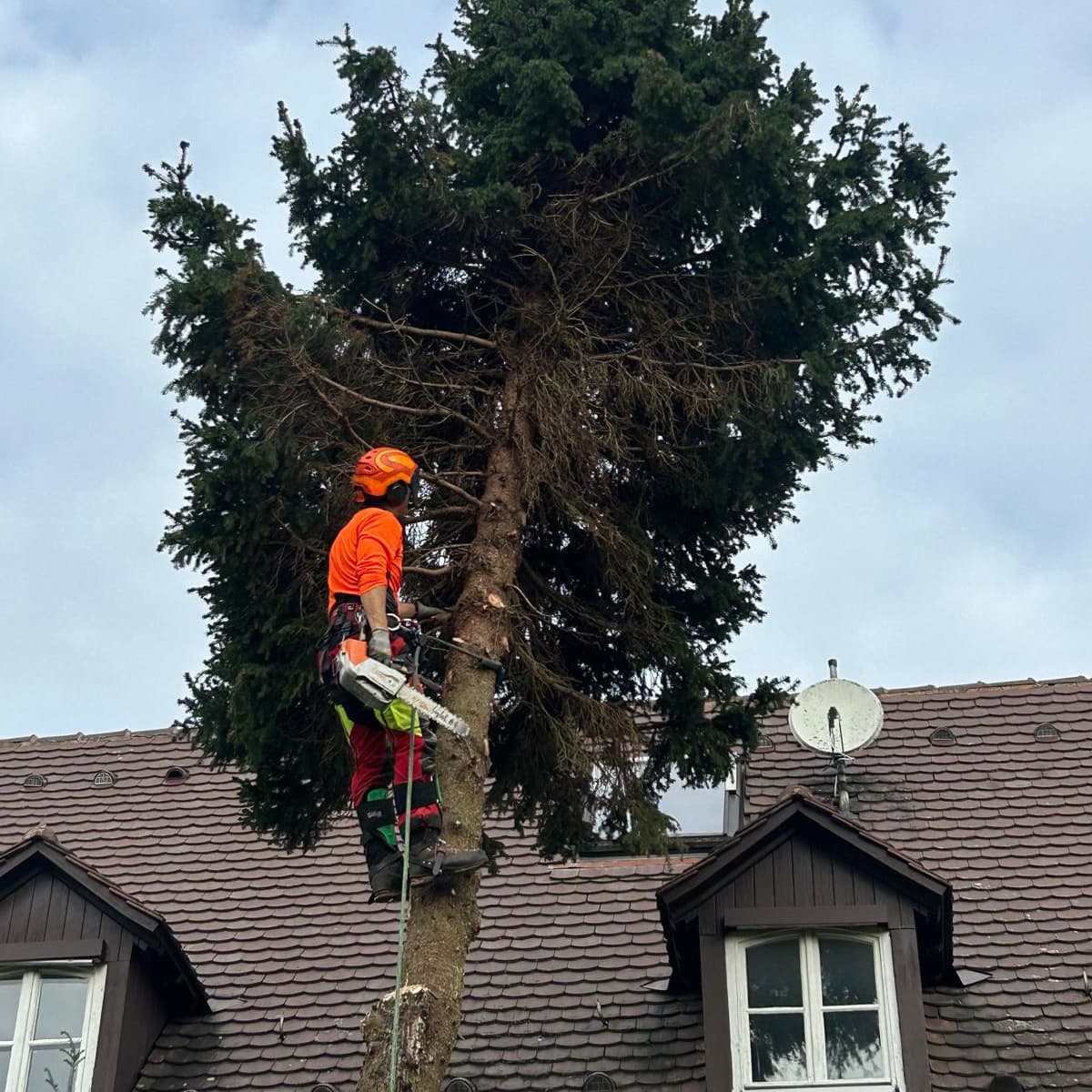 Unbetiteltes Referenzbild