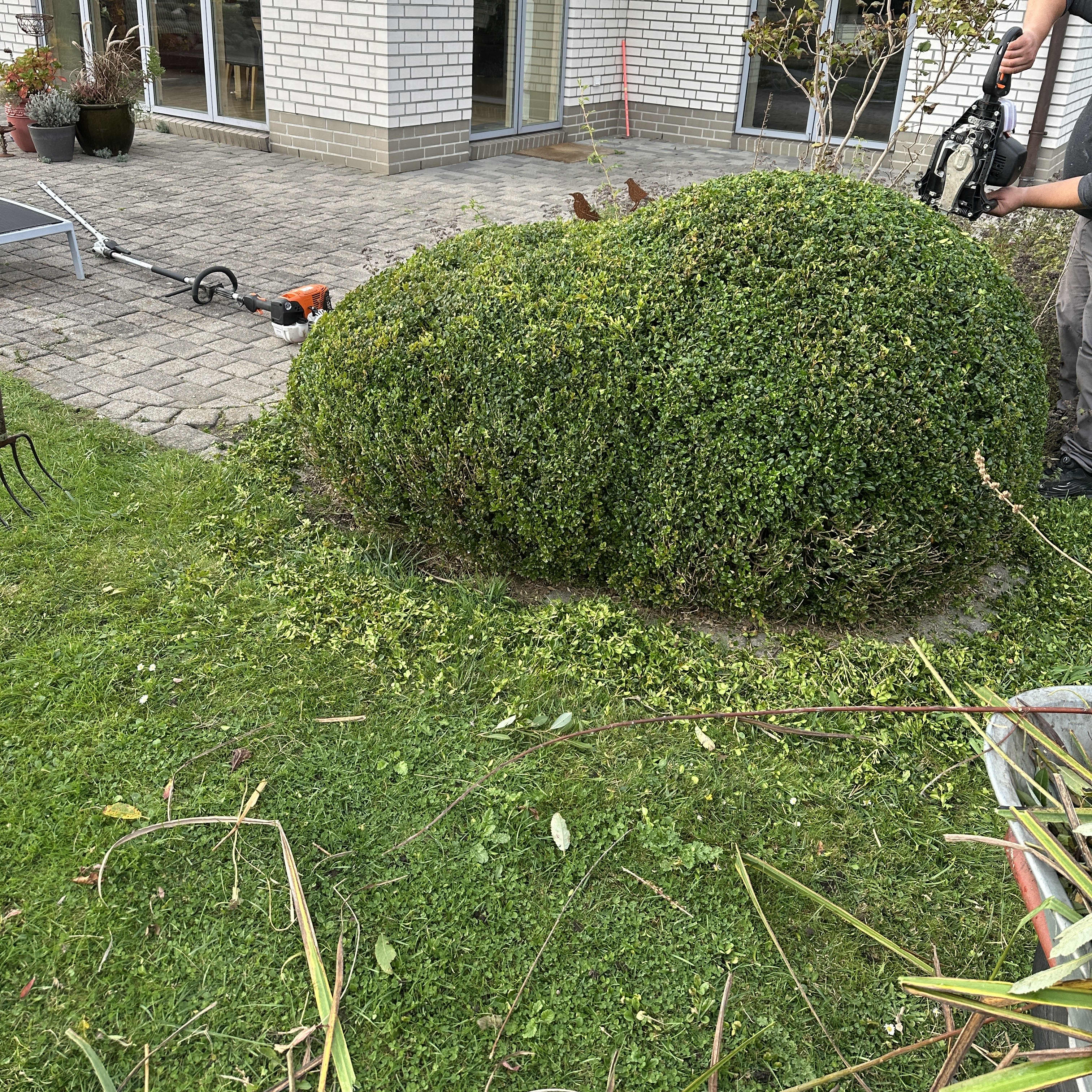 Unbetiteltes Referenzbild