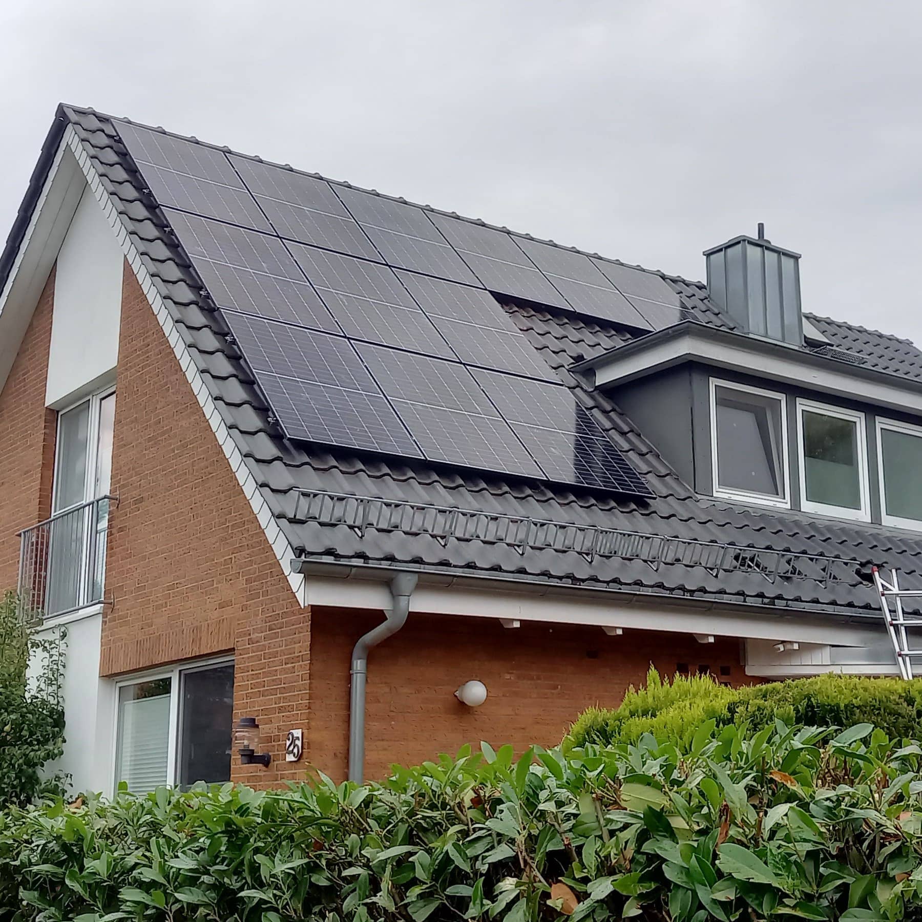 Unbetiteltes Referenzbild