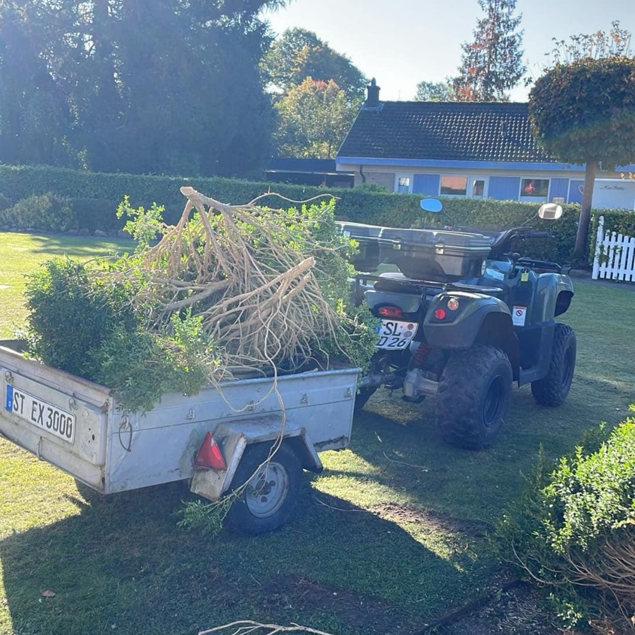 Unbetiteltes Referenzbild