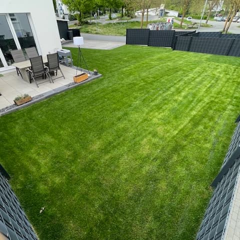 Unbetiteltes Referenzbild