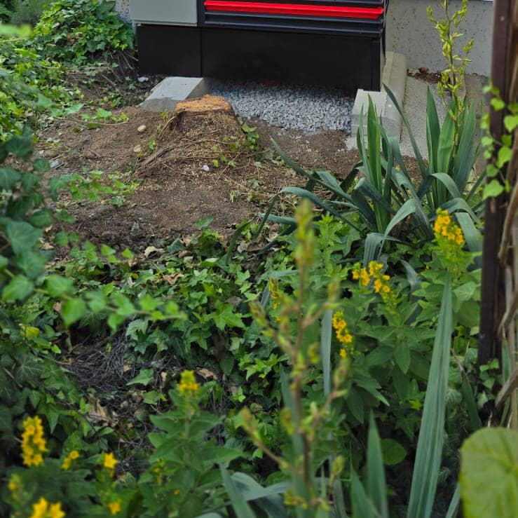 Unbetiteltes Referenzbild