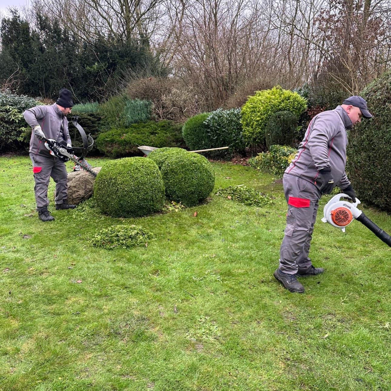 Unbetiteltes Referenzbild