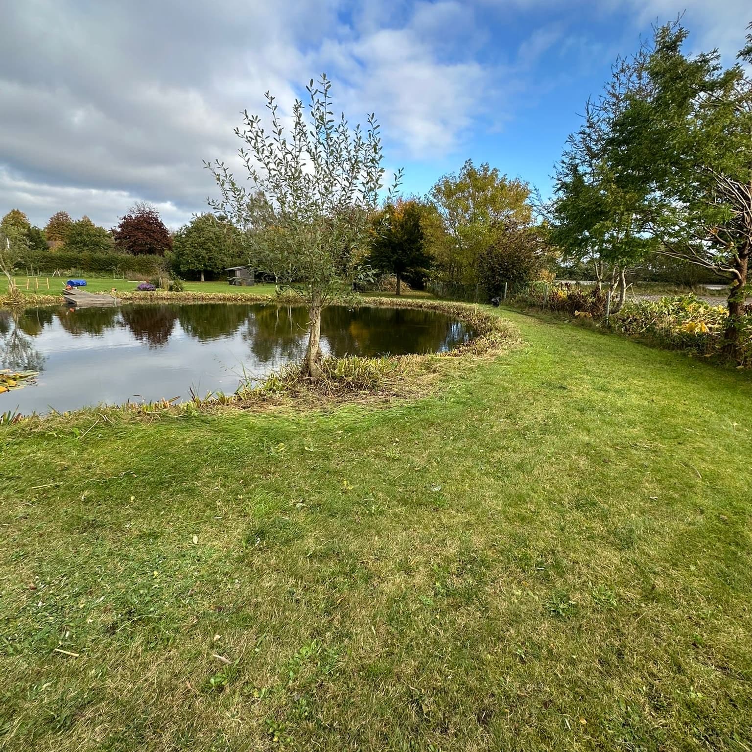 Unbetiteltes Referenzbild