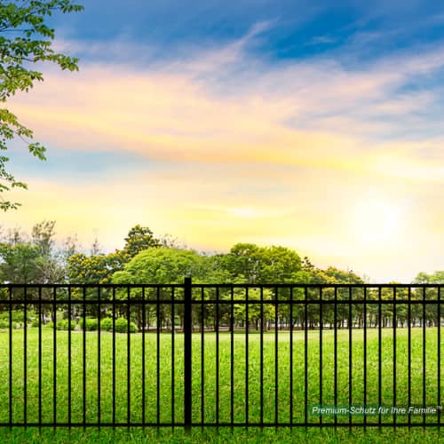 Unbetiteltes Referenzbild