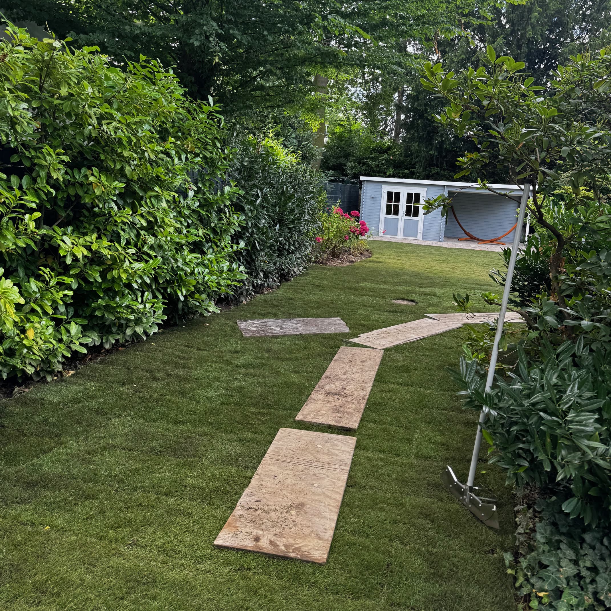 Unbetiteltes Referenzbild