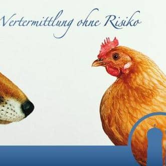 Unbetiteltes Referenzbild