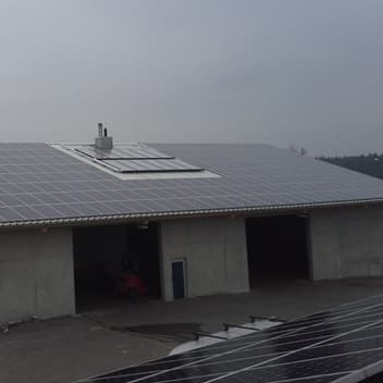 Unbetiteltes Referenzbild