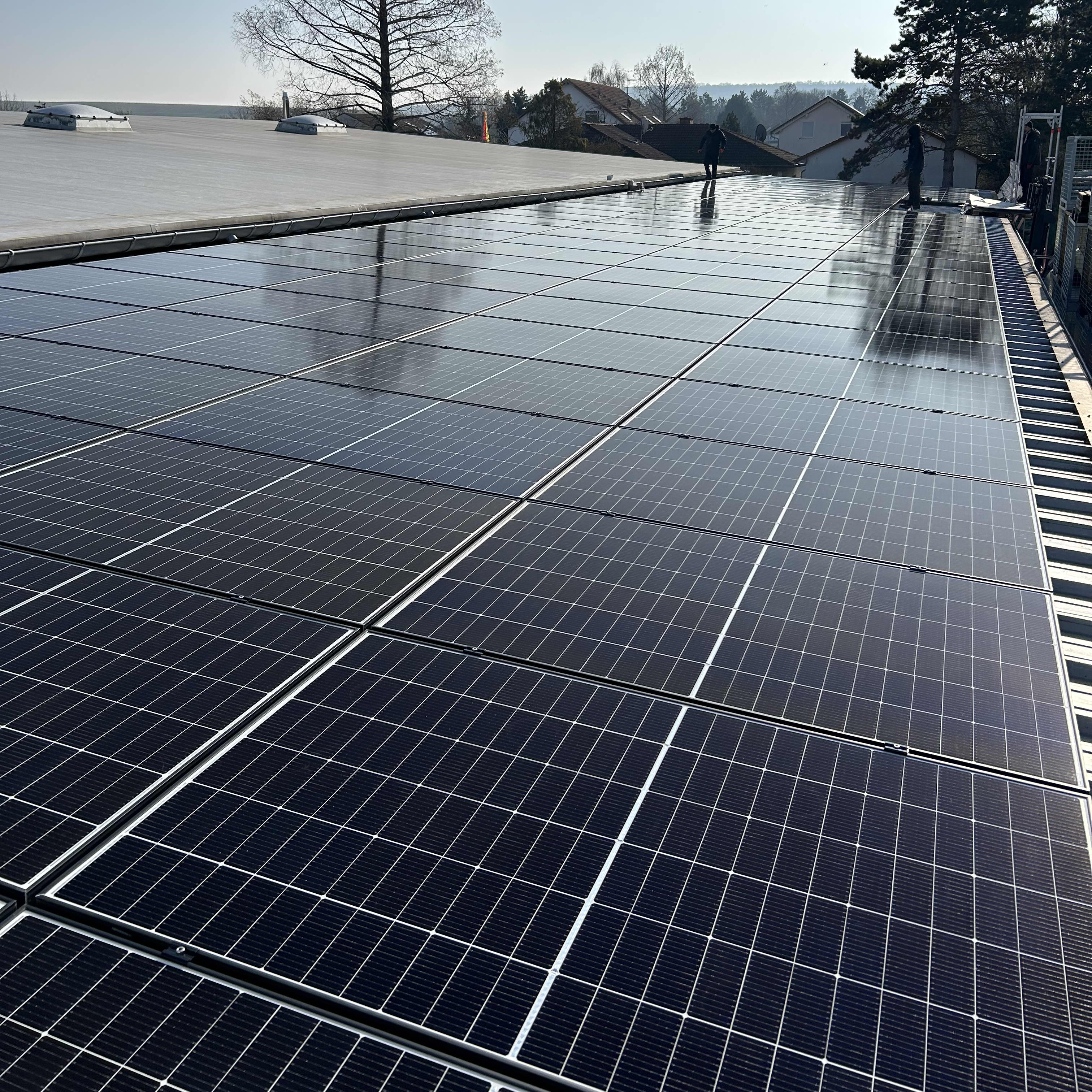 Unbetiteltes Referenzbild