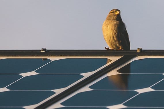 News Solaranlage 2023