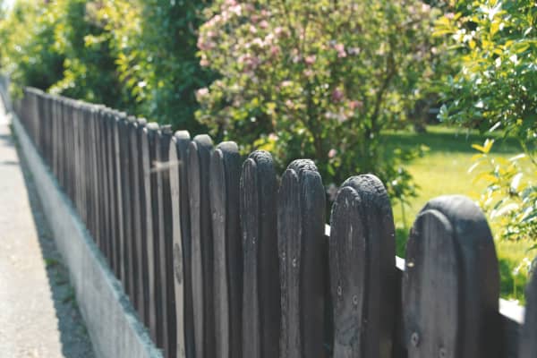 Holzzaun grenzt einen Garten zur Straße ab