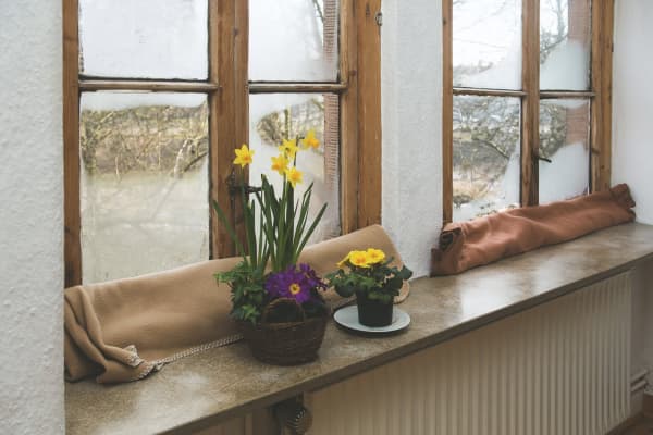 Altbaufenster, die mit gelben Narzissen und violetten Primeln dekoriert sind