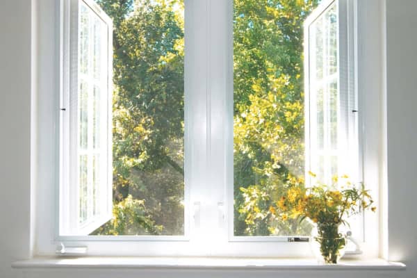 Geöffnetes weißes Fenster mit Ausblick ins Grüne und Blumen auf der Fensterbank