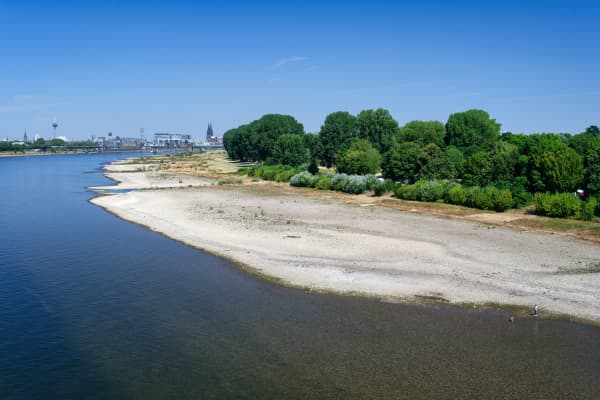 Niedriger Wasserstand des Rheins in Köln mit breiten, trockenen Kiesbänken