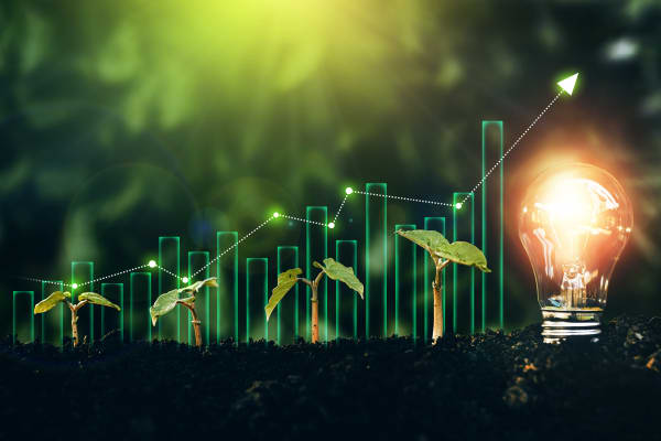 Leuchtende Glühbirne und junge Pflanzen in Erde neben ansteigendem Diagramm