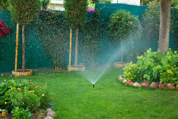 Garten mit Sprinkleranlage