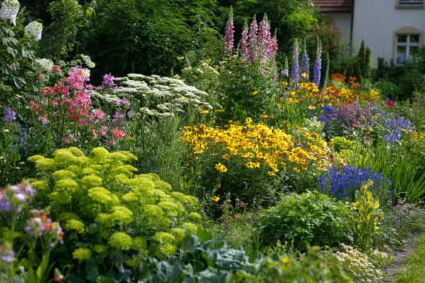Ein buntes Blumenbeet in einem Garten.